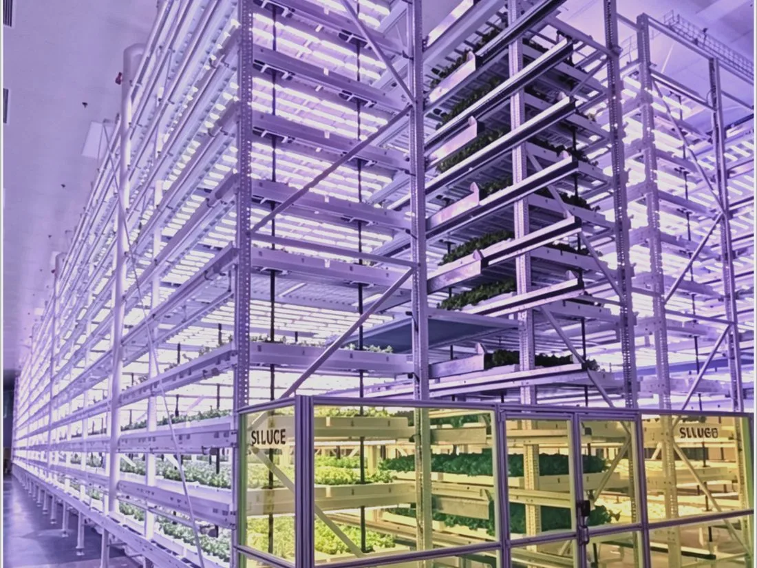 Indoor Vertical Farming (New)