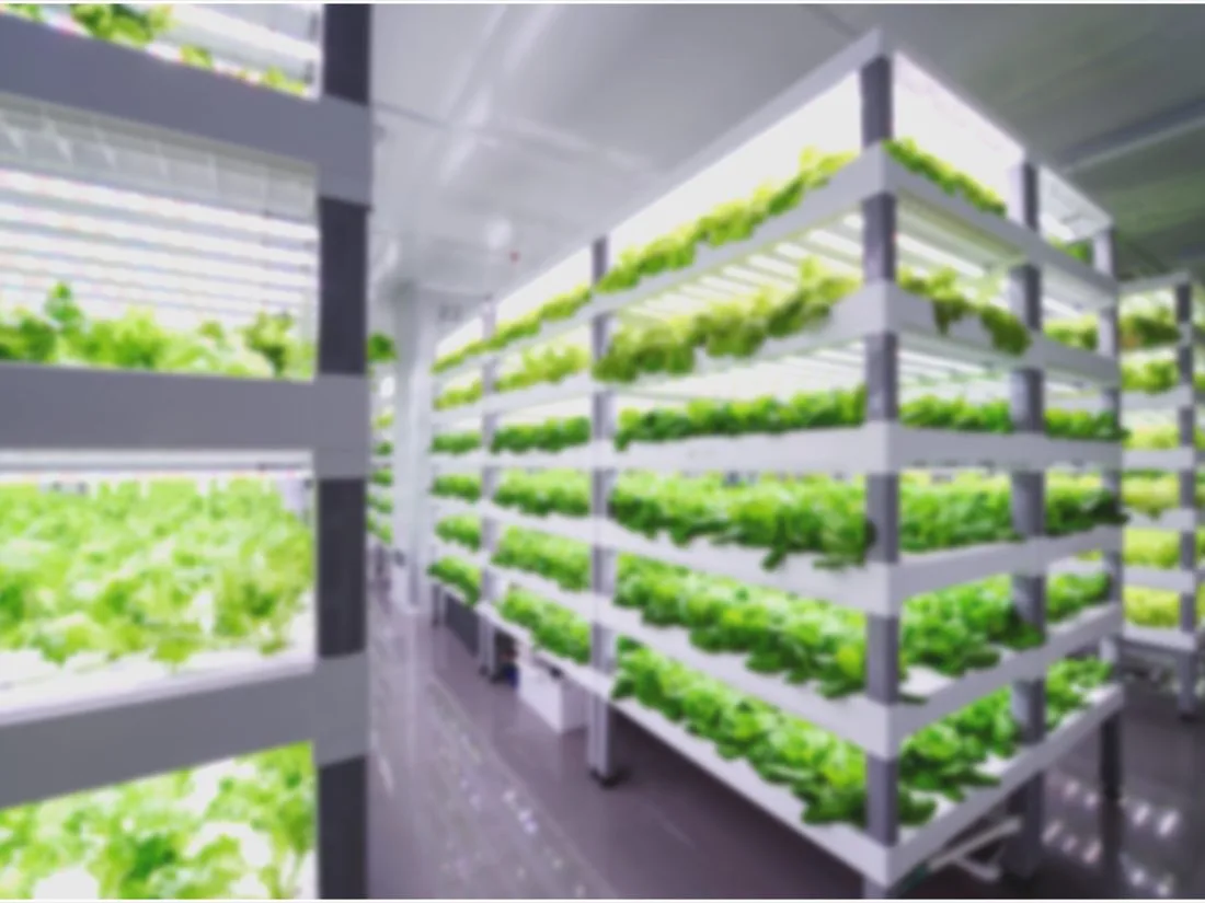 Plant Factory