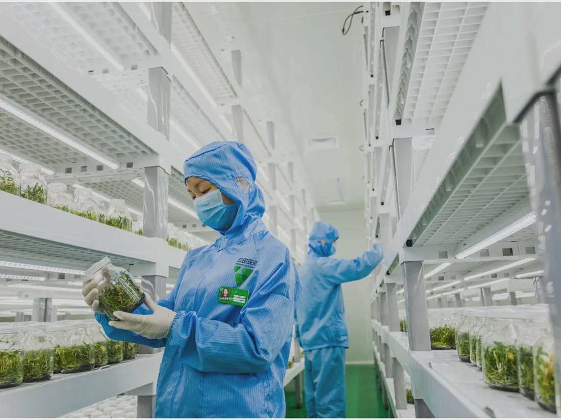 Anxi, Fujian 200,000 m² facility