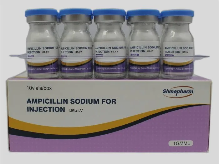 Ampicillin Sodium Injection