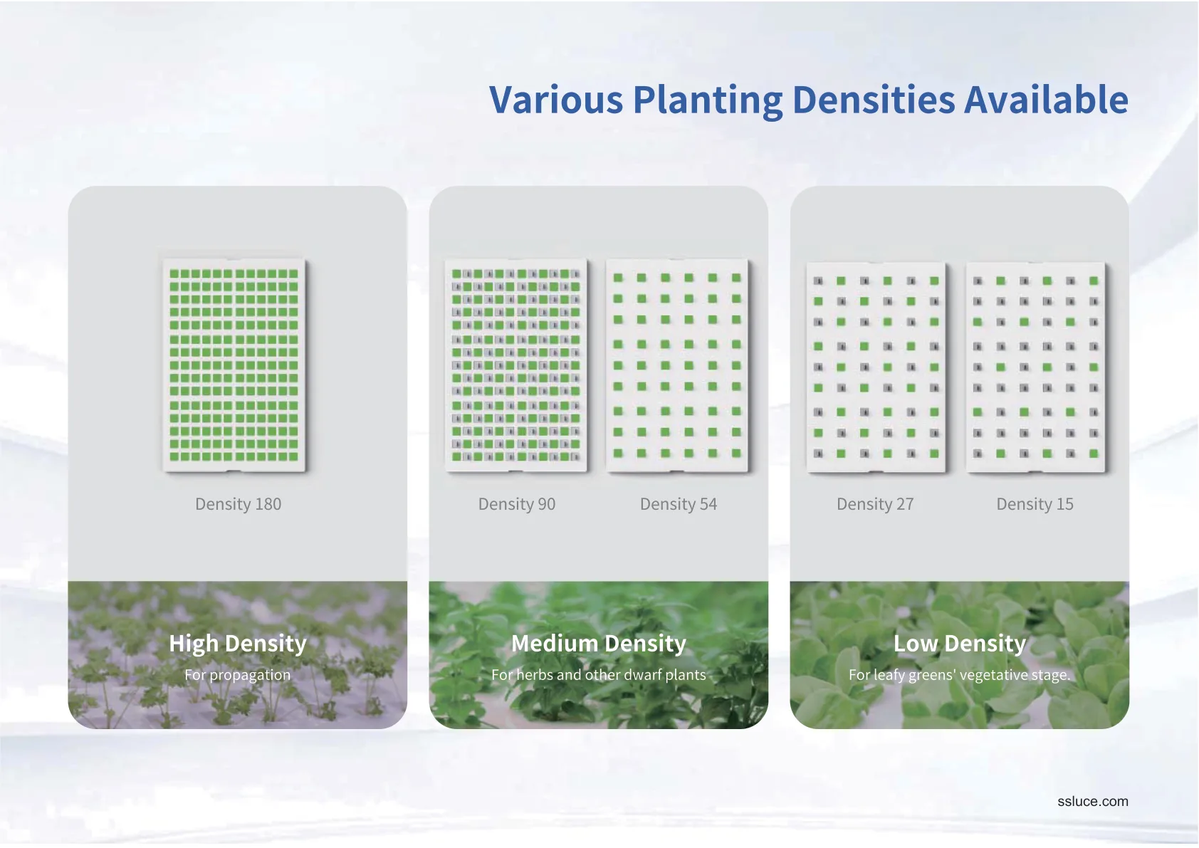 Planting Densities