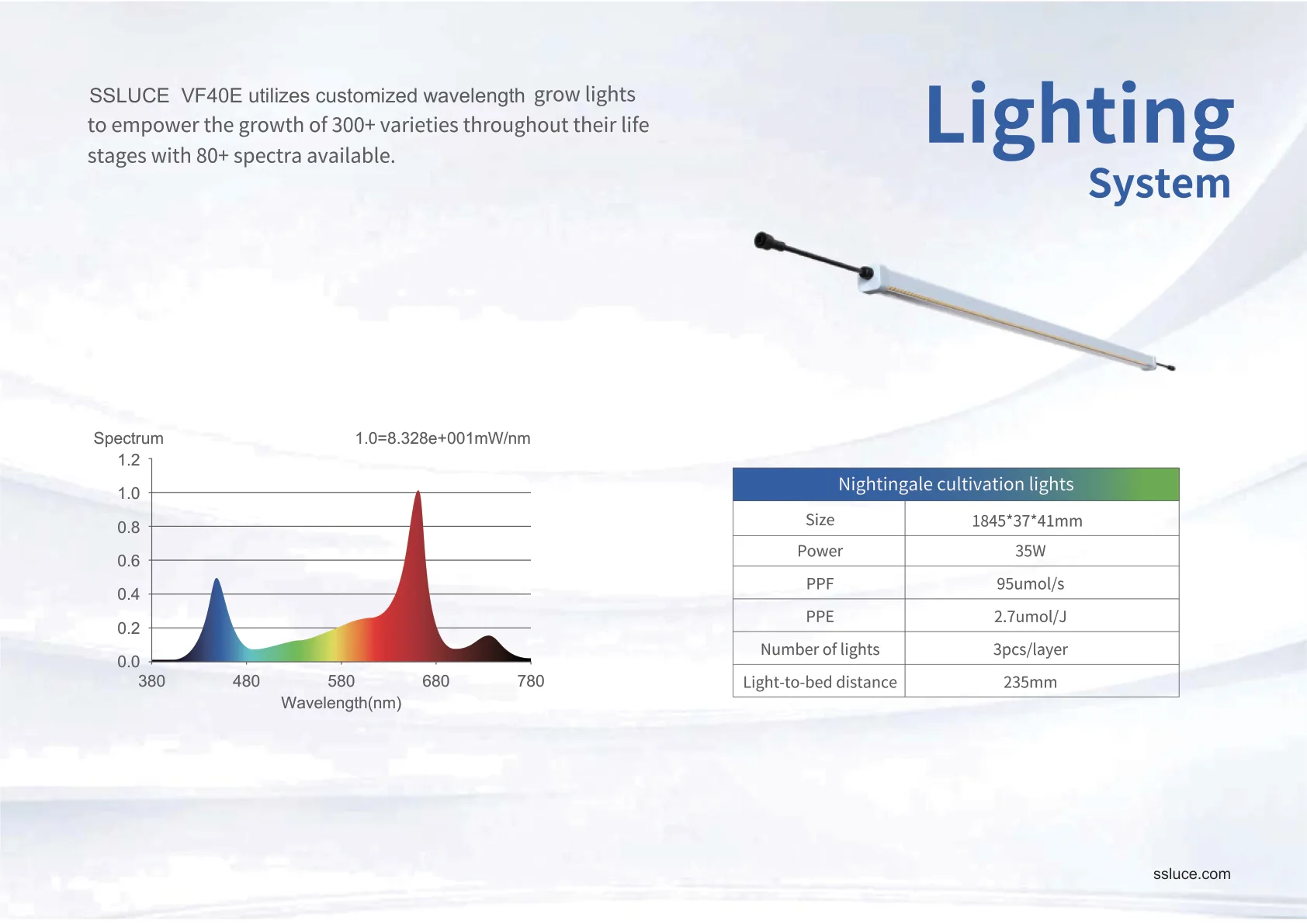 Lighting System